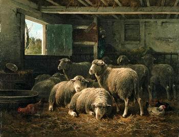 unknow artist Sheep 098